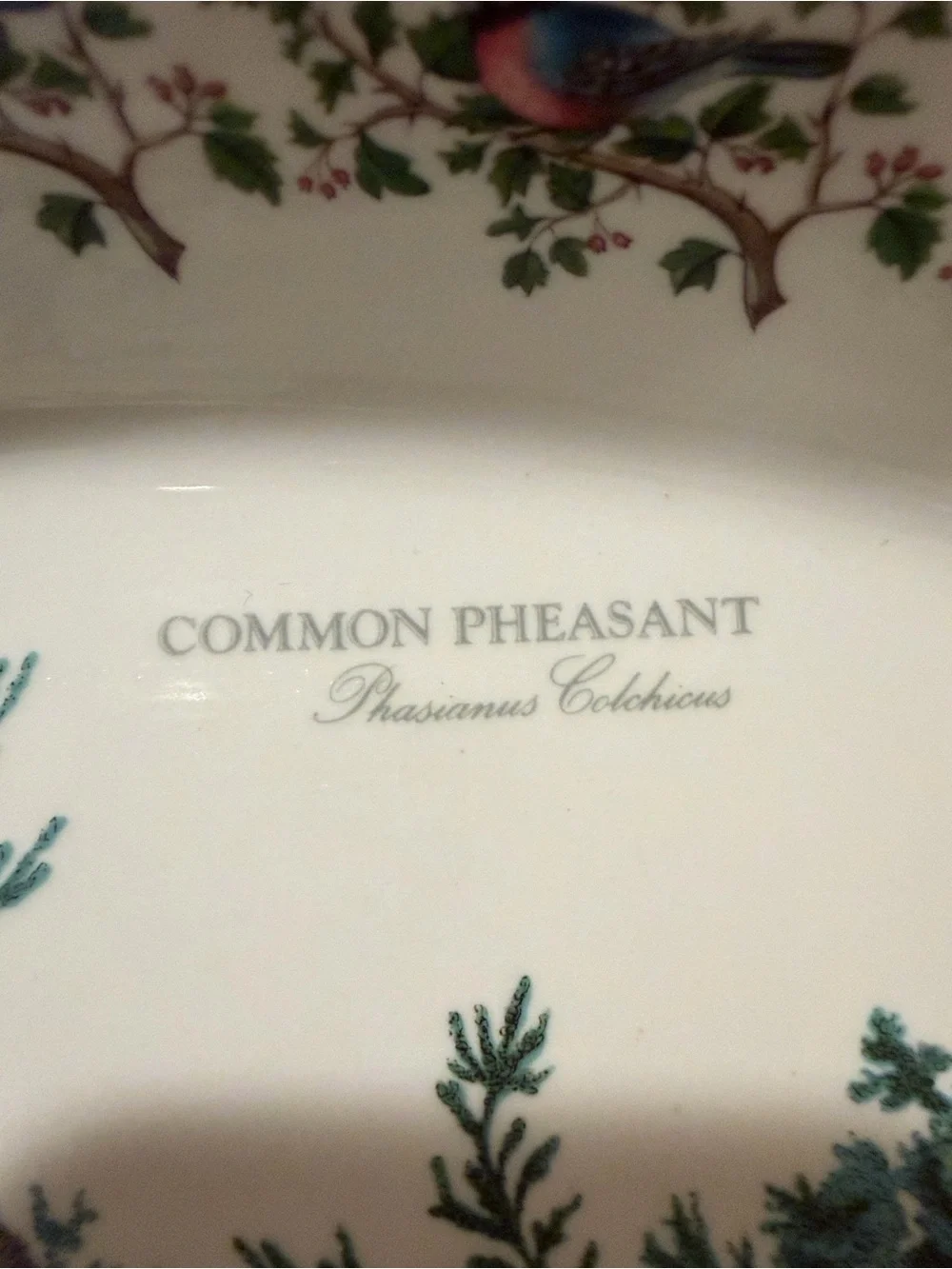 Portmeirion Vintage Birds of Britain Pheasant Oval Serving Platter